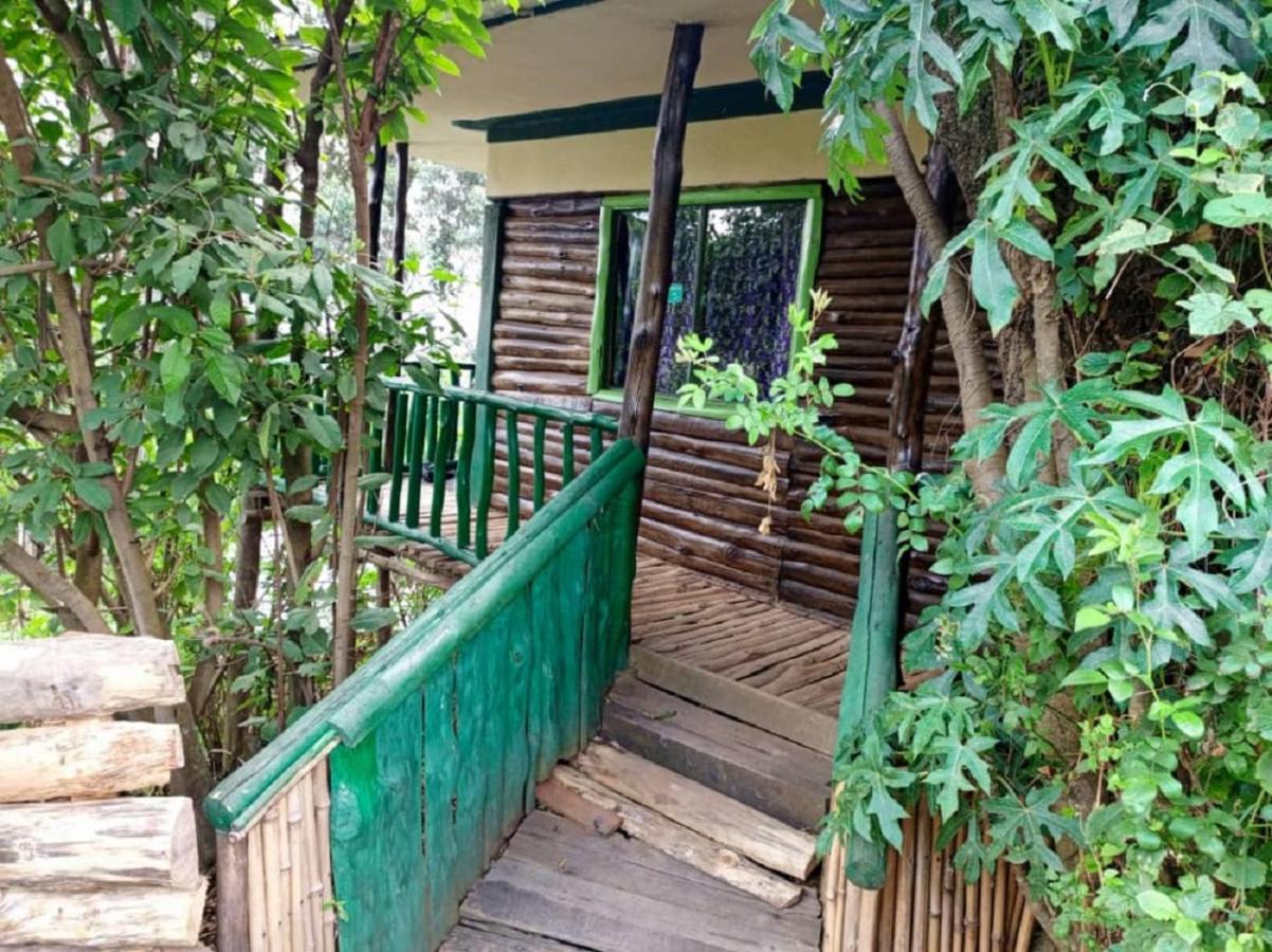 Bed and Breakfast Ruhija Community Rest Camp Kabale Exterior foto